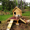 Maison en bois avec terrasse pour 3 à 4 chèvres